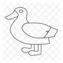Duck  Icon
