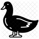 Duck Bird Duck Food Icon