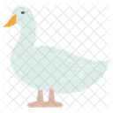 Duck Bird Duck Food Icon