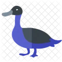 Duck waterfowl  Icon
