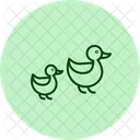 Ducklings In Line Ducklings Line Icon