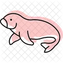 Dugong Mammal Ocean Icon