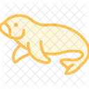 Dugong Mammal Ocean Icon
