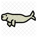 Dugong  Icon
