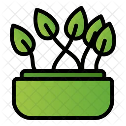 Dumb cane  Icon