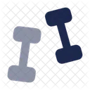 Dumbbells Fitness Gym Icon