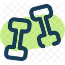 Dumbbells Fitness Gym Icon