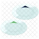 Dumplings Plate Isometric Icon
