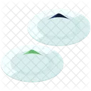 Dumplings Plate Isometric Icon