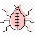 Dung Insect Beetle Icon