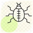 Dung Insect Beetle Icon