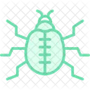 Dung Insect Beetle Icon