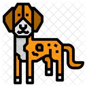 Dunker Dog Icon