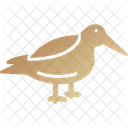 Dunlin Animal Bird Icon