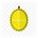 Durian Fruit Food Icon