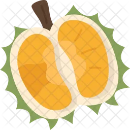 Durian  Icon