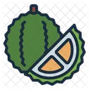 Durian Fruit Tropical Icon