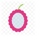 Durian Tropical Fruit Icon