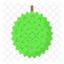 Durian  Icon