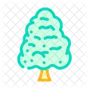 Durian Tree  Icon