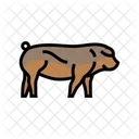 Duroc Pig Breed Icon