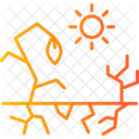 Durre Trockenheit El Nino Symbol