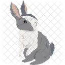 Dutch Rabbit  Icon