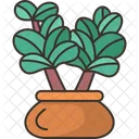 Dwarf Plant Greenery Icon