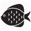 Dwarf Angelfish Pet Underwater Icon