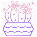 Dwarf Chin Cactus Pot Cactus Plant Icon