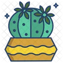 Dwarf Chin Cactus Pot Cactus Plant Icon