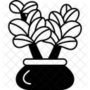 Dwarf Plant Greenery Icon