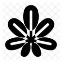 Dwarf Schefflera Plant Nature Icon