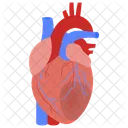 Dying Muscles Heart Disease Icon