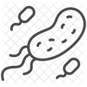 E Coli  Icon