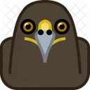 Eagle Predator Wild Icon