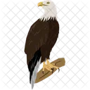 Eagle Wildlife Bird Icon