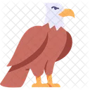 Flat Eagle Icon