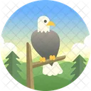 Eagle Bald Eagle Bird Icon