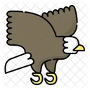 Eagle Hawk Bird Icon