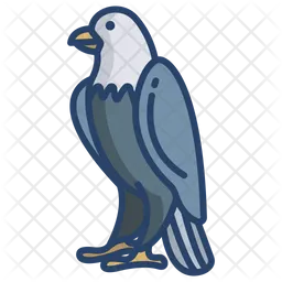Eagle  Icon