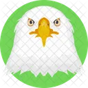Eagle Hawk White Icon