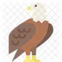 Eagle Bird Usa Icon