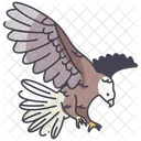 Eagle Bald Cockatoo Icon
