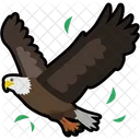 Eagle  Icône