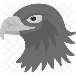 Eagle  Icon