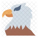 Eagle Bird Animal Icon