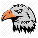 Eagle Mascot Eagle Face Eagle Icon