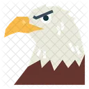 Eagle Face  Icon