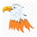 Eagle Head Falcon Head Eagle Face Icon